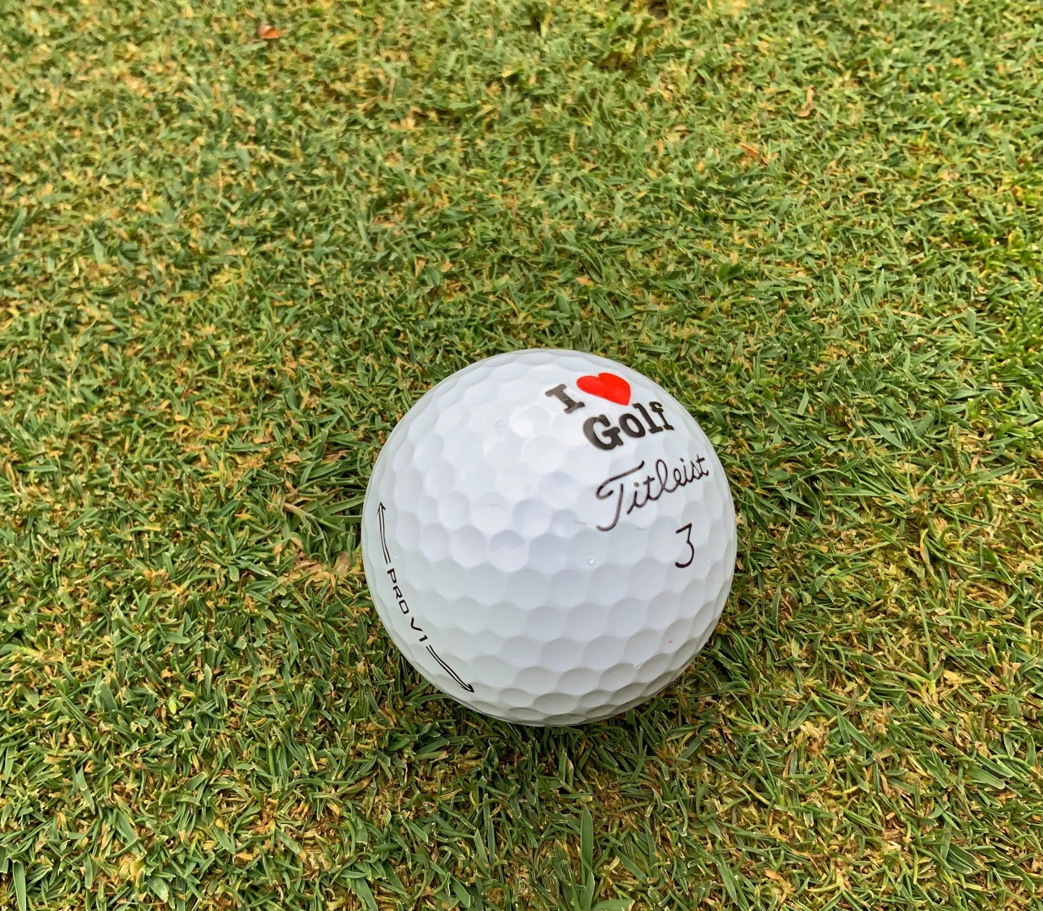 I Love/Hate Golf